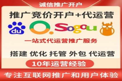某行业巨头背后的SEM代运营服务公司
